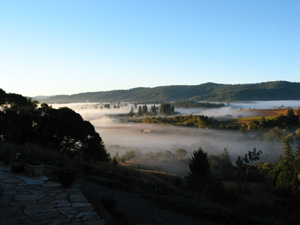View of Mendocino County